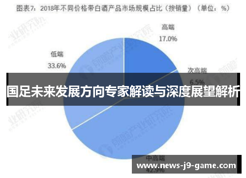 国足未来发展方向专家解读与深度展望解析