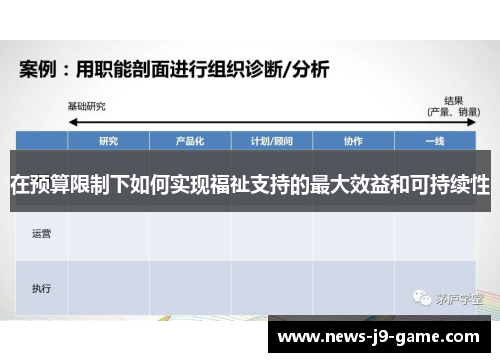 在预算限制下如何实现福祉支持的最大效益和可持续性