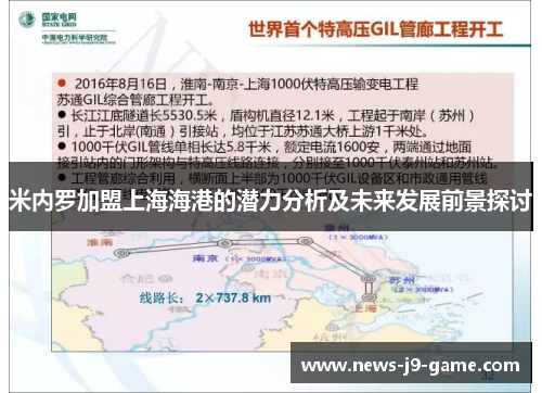 米内罗加盟上海海港的潜力分析及未来发展前景探讨
